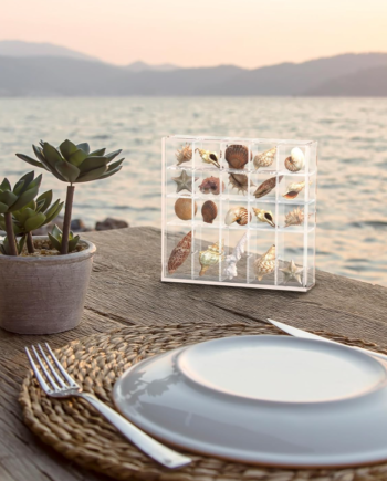Clear Acrylic Seashell Display Box with 25 Compartments, Wall Mount Storage Case for Seashells, Beads, Gems and Small Craft Supplies