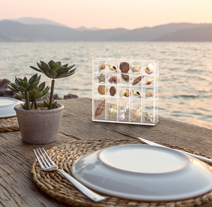 Clear Acrylic Seashell Display Box with 25 Compartments, Wall Mount Storage Case for Seashells, Beads, Gems and Small Craft Supplies
