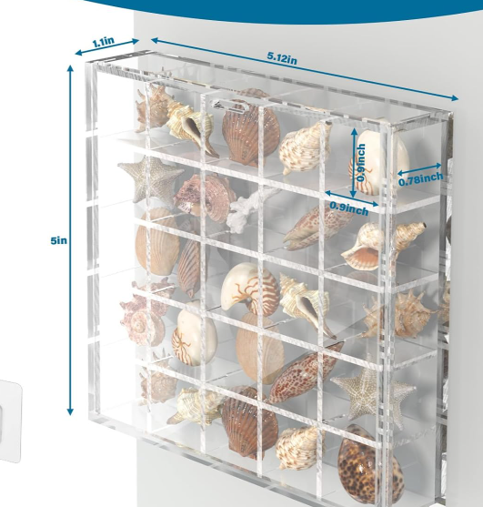 Clear Acrylic Seashell Display Box with 25 Compartments, Wall Mount Storage Case for Seashells, Beads, Gems and Small Craft Supplies